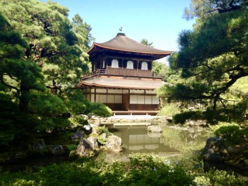 7jVAegNlQOuL8HYEMHAGpA thumb 167