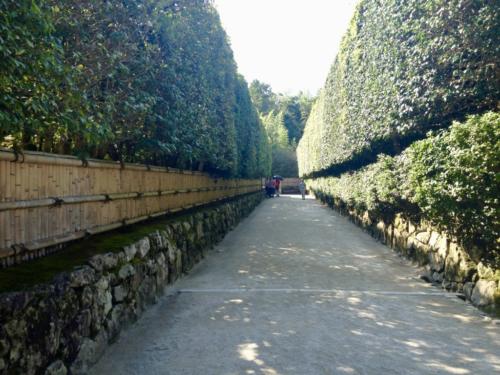 CTZ+OQYSoiVE5vbH5Pplg thumb 179