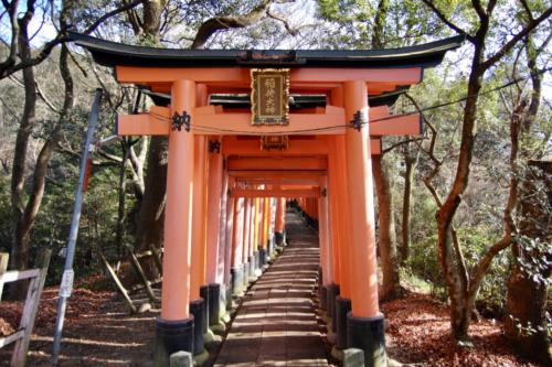 QV8s7NnkSW+JLP88OK5KUw thumb 1414