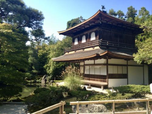 SIcdrqZDQLCnQ3oQGEloLw thumb 15f