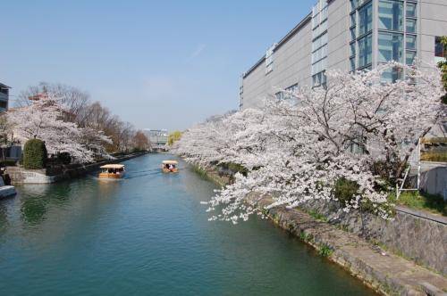 UNADJUSTEDNONRAW thumb 1366