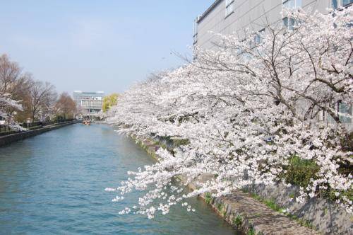 UNADJUSTEDNONRAW thumb 1369