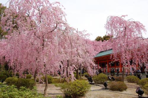 UNADJUSTEDNONRAW thumb 136c