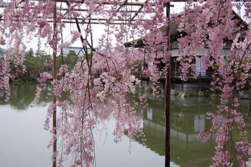 UNADJUSTEDNONRAW thumb 136d