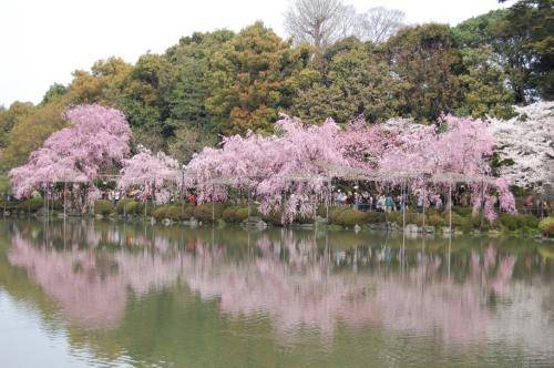 UNADJUSTEDNONRAW thumb 1370