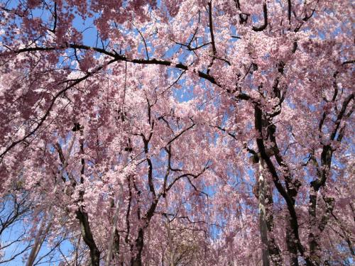 UNADJUSTEDNONRAW thumb 585