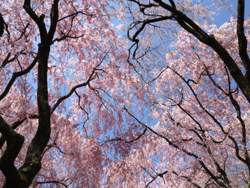 UNADJUSTEDNONRAW thumb 587