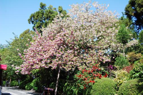 UNADJUSTEDNONRAW thumb 83b