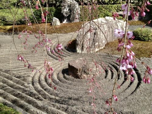 gs35LjuQTkGZn16qfSRA thumb 4f9