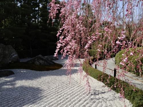 mjLagjOMQmi7KTJHpET7pA thumb 4af