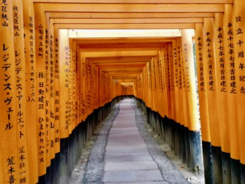 rcJ1QWAASD+RKkbzLwFjeA thumb 16d6