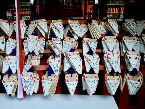 wC48XTJ0SPOVfjTowAW0gw thumb 16d8