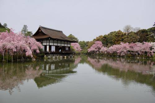 x3qDYg8aS46cZwefhCCFjg thumb 136f