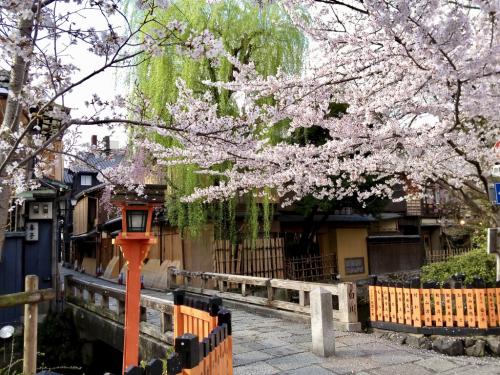 xPrD49agQr+EhQLaNP5fsA thumb 503